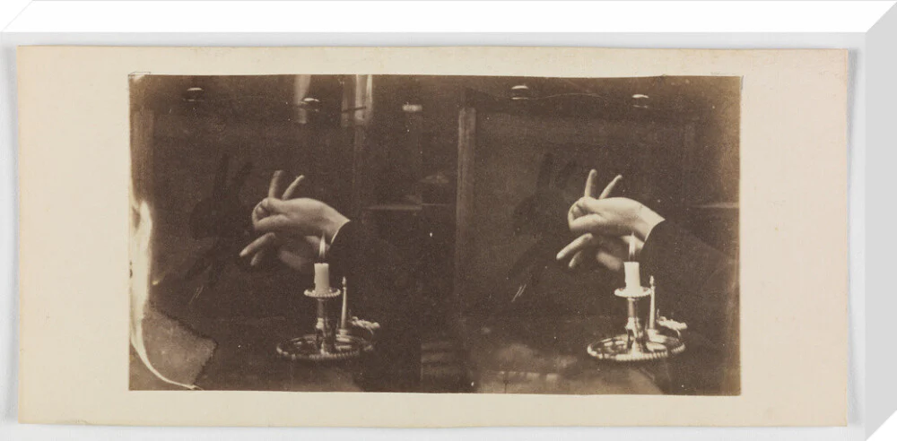 Shadowgraph of a rabbit by candlelight - Image 66