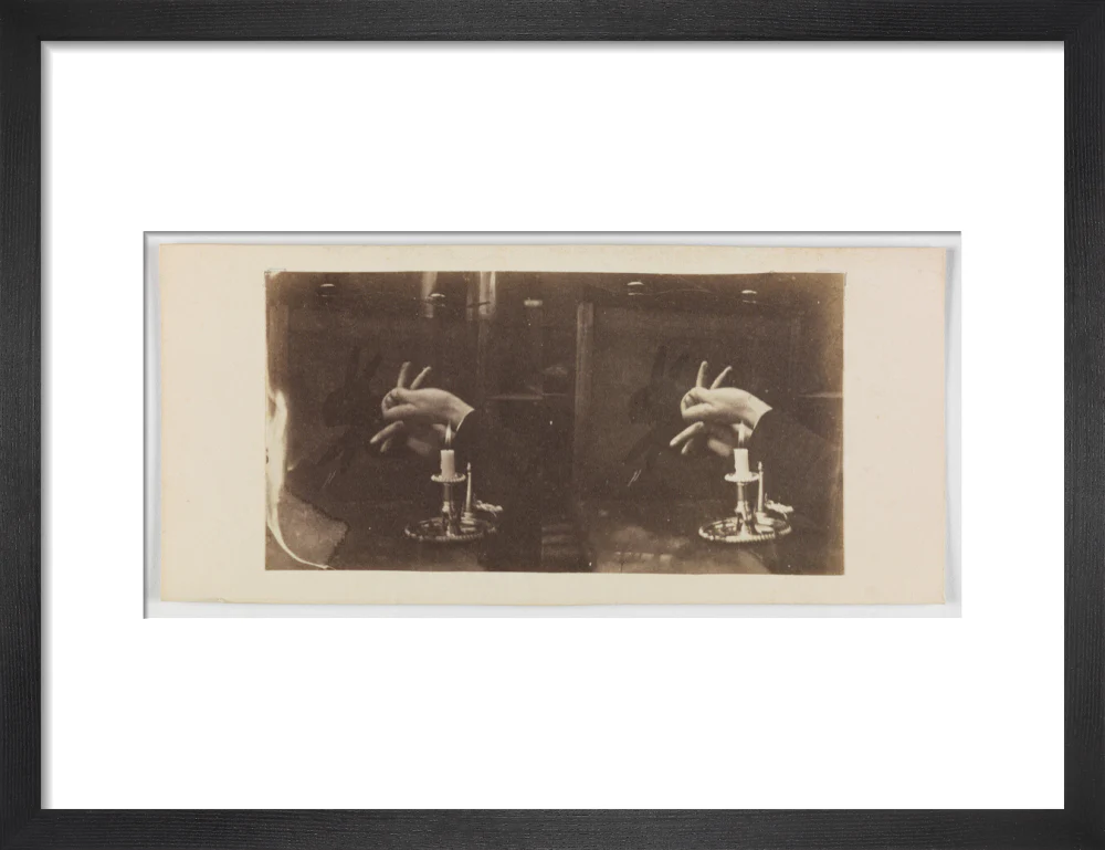 Shadowgraph of a rabbit by candlelight - Image 8