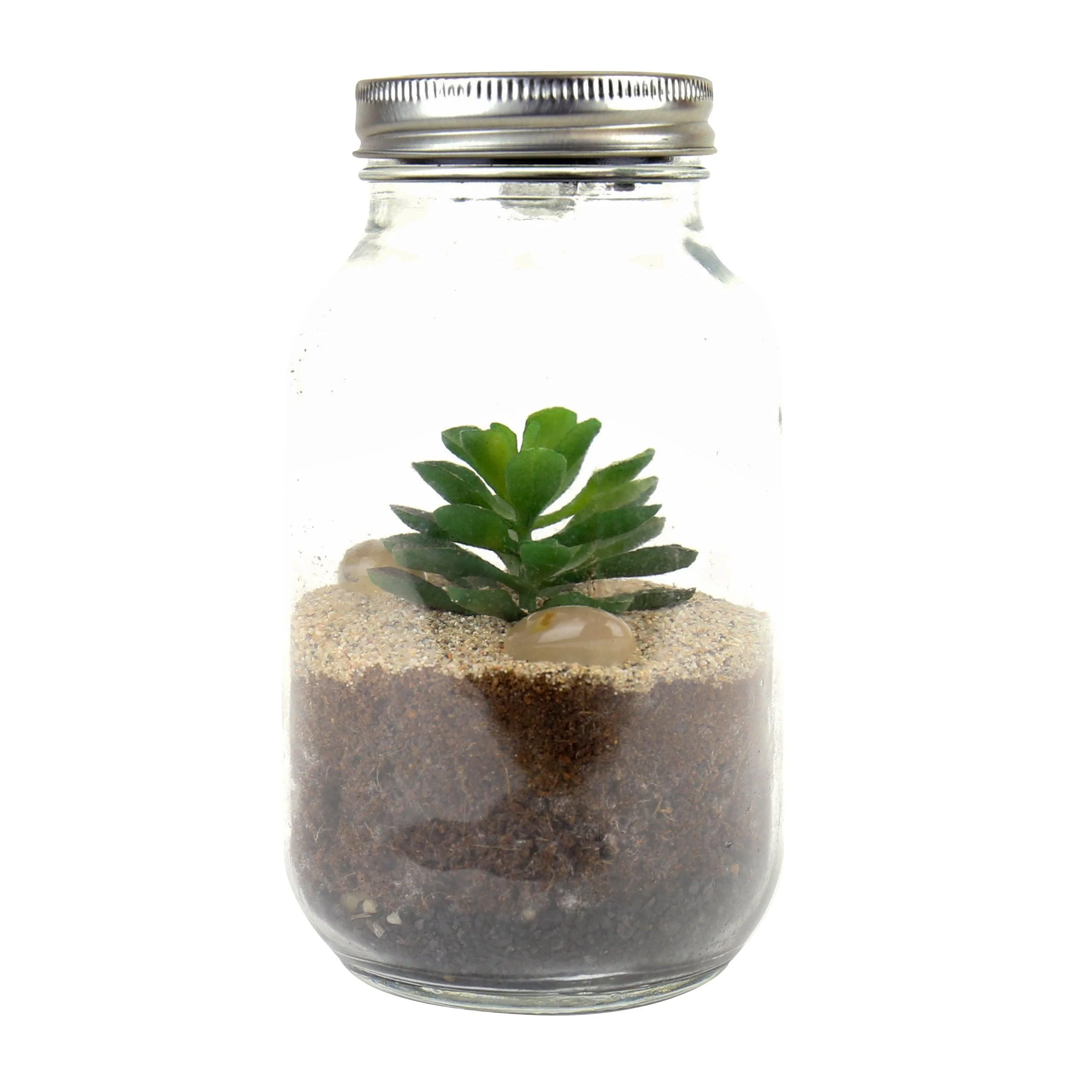 Terrarium Light Up Solar Powered - Image 4
